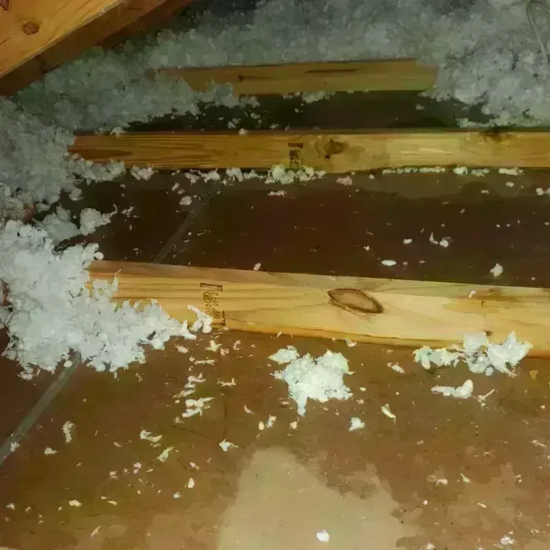 Attic Water Damage in Opelika, AL