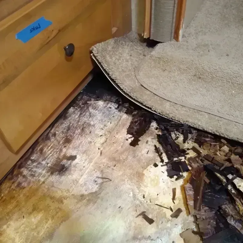 Wood Floor Water Damage in Opelika, AL